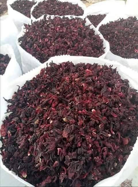 Zobo Leaves Hibiscus Flower Nigerian Origin