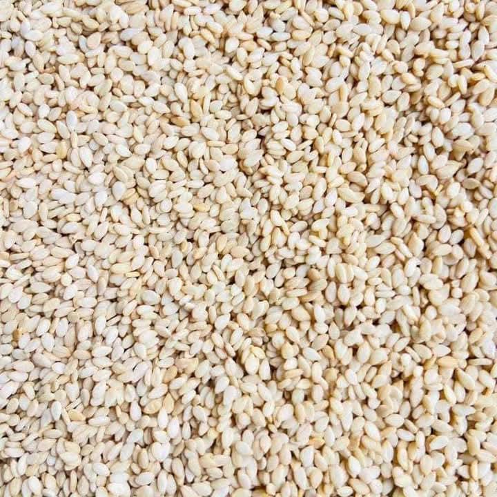 98% cleaned Nigerian white sesame seed for export