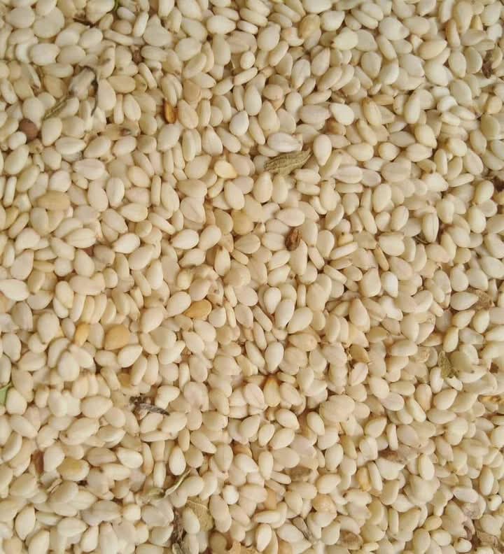 98% cleaned Nigerian white sesame seed for export