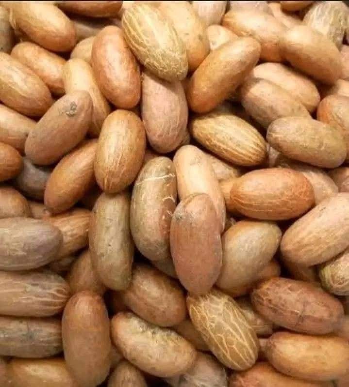bitter kola (garcinia kola)