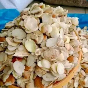 Ogbono Seeds From Nigeria (Irvingia Gabonensis Bush Mango) | Dika Nut Kernels For Weight Management Supplements, Cosmetics & West African Cuisine — Bulk Export Direct From Origin