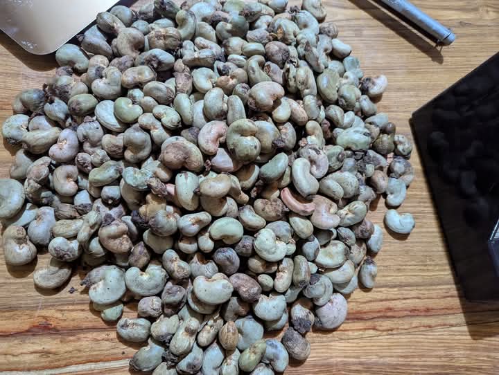 Raw Cashew Nuts From Nigeria (High Outturn RCN)