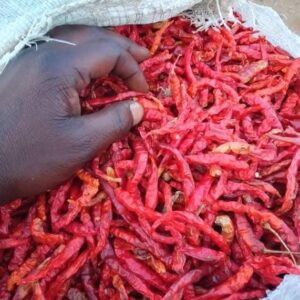 Nigerian Chilli Pepper Export (High-Capsaicin Cayenne, Scotch Bonnet & Cameroon Pepper) | Bulk Dried & Oleoresin-Grade Supply Direct From West Africa's Hottest Spice Belt