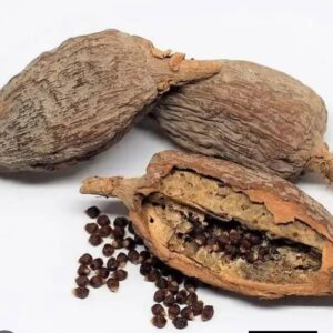 Alligator Pepper From Nigeria (Aframomum Melegueta — Grains of Paradise) | Sacred Spice, Craft Beer Ingredient & Pharmaceutical Bioactive — Bulk Export For Global Buyers Who Know What This Spice Is Really Worth