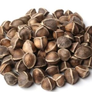 Moringa Seeds From Nigeria (Miracle Tree Moringa Oleifera) | High-Oil Content Bulk Export For Nutraceutical, Cosmetic & Water Treatment Buyers Worldwide