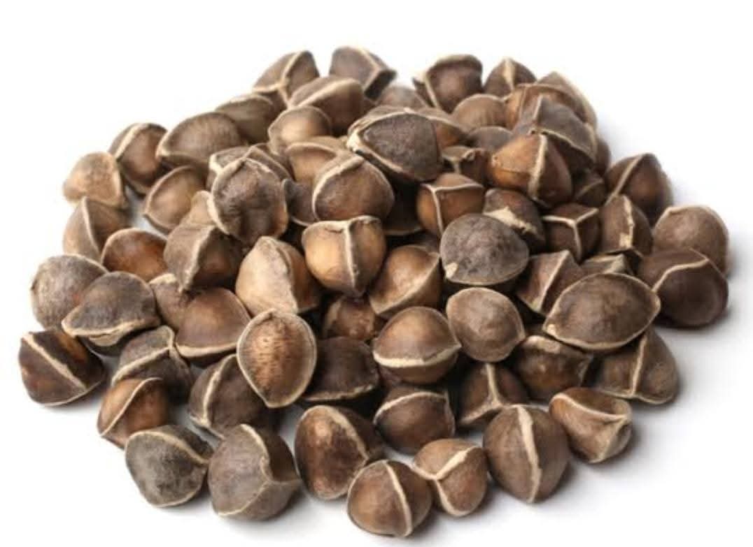 Moringa Seeds From Nigeria (Miracle Tree Moringa Oleifera) | High-Oil Content Bulk Export For Nutraceutical, Cosmetic & Water Treatment Buyers Worldwide