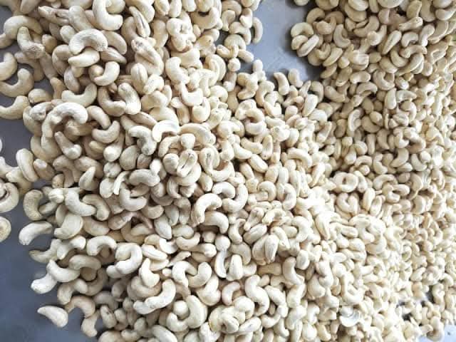 Cashew Nut Kernel Exporter from Nigeria (W320, W240, W180)