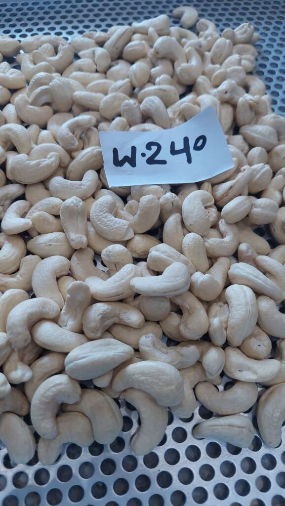 Cashew Nut Kernel Exporter from Nigeria (W320, W240, W180)