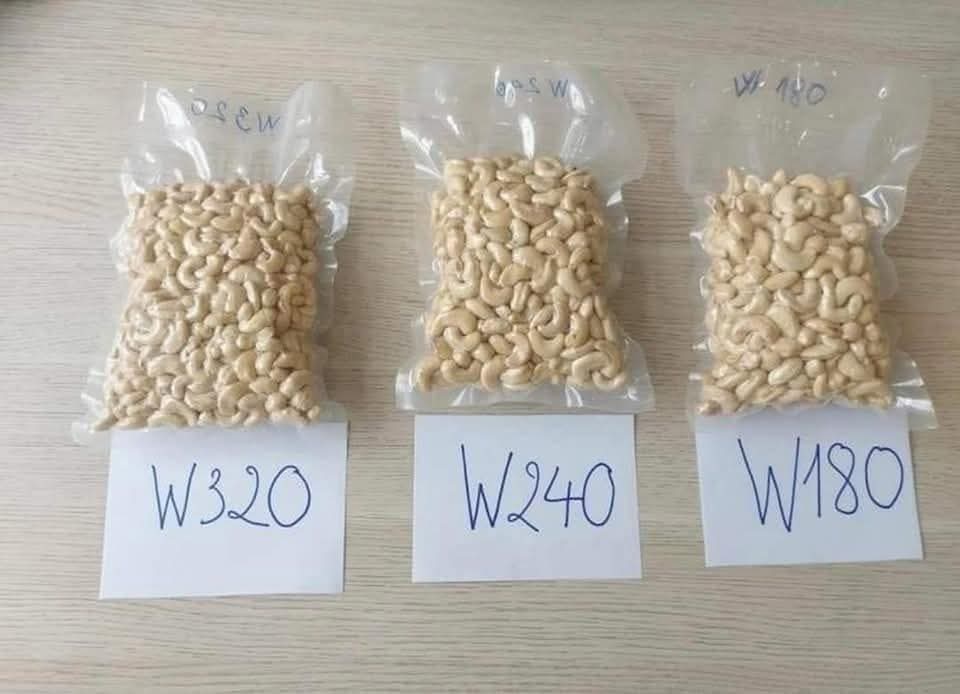 cashew nut kernel w320 w240 w180 ready for export processed in nigeria