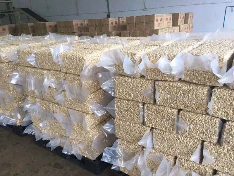 cashew nut kernel w320 w240 w180 ready for export processed in nigeria