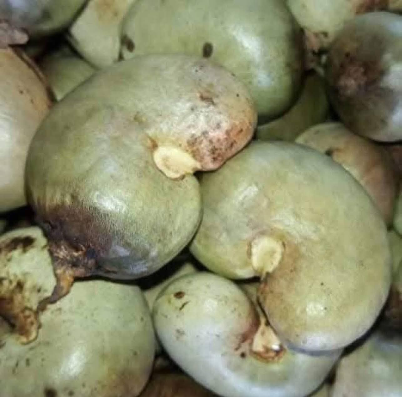 raw cashew nut paradise multitrade international