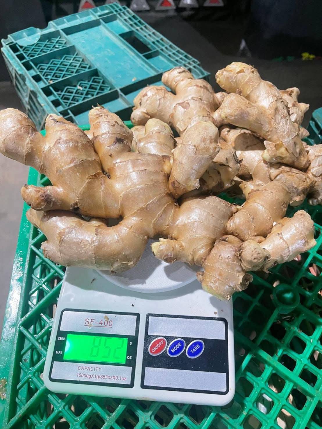 Fresh Ginger Kaduna State Nigerian Origin ready for export