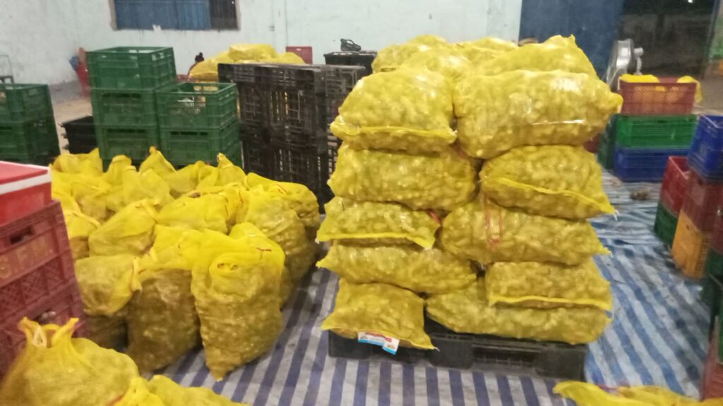 Fresh Ginger Kaduna State Nigerian Origin ready for export
