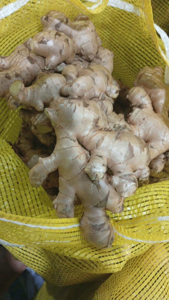 Fresh Ginger Kaduna State Nigerian Origin ready for export