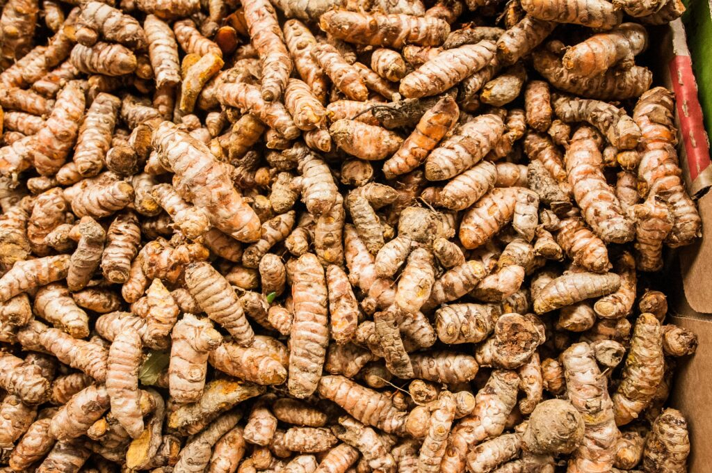 tumeric nigerian origin paradise multitrade international