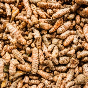 tumeric nigerian origin paradise multitrade international