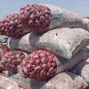 Nigerian Onions Export (Allium Cepa — The Sahel's Most Productive Onion Belt) | Fresh, Dried & Powdered Red Onions In Bulk For Food Processors, Spice Manufacturers & Global Wholesale Buyers