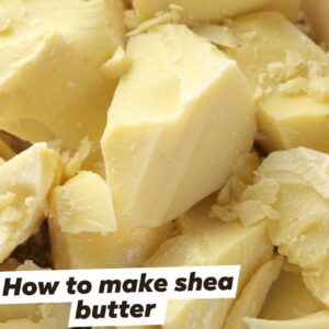 Nigerian Shea Butter Export (Vitellaria Paradoxa — The African Fat That Quietly Replaced Cocoa Butter In Millions Of Chocolate Bars While Simultaneously Building A Multi-Billion Dollar Premium Cosmetics Market) | Raw, Refined & Food-Grade For Chocolate Manufacturers, Cosmetics Formulators & Global Wholesale Buyers