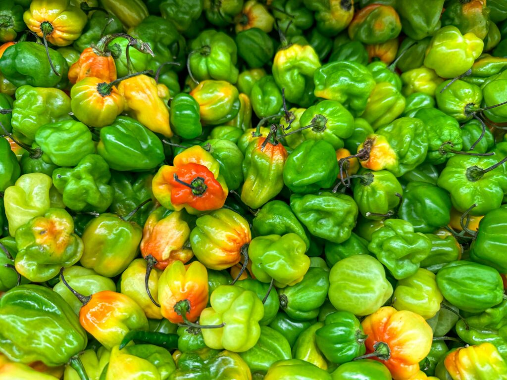 A colorful close-up of fresh habanero peppers in various shades of green and orange.