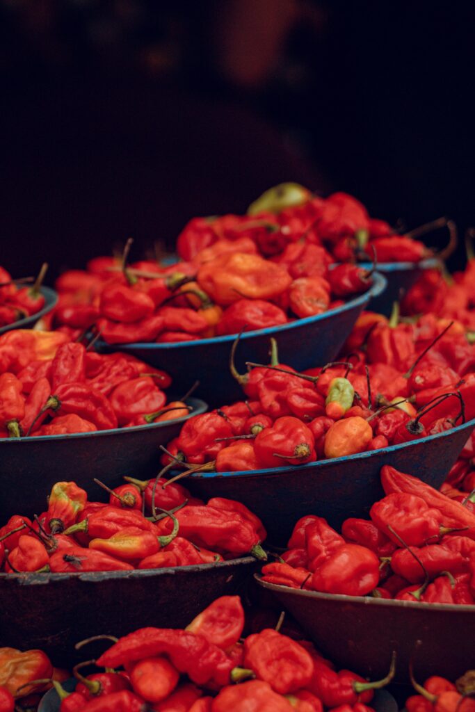 Nigerian Habanero Pepper: The Capsicum That Has Gone From West African Subsistence Crop to Pan-European Food Industry