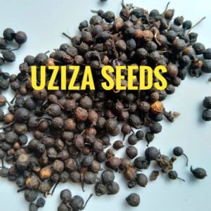 Nigerian Uziza Seed Export (Piper Guineense — The West African Pepper That Medieval Spice Traders Prized Before Black Pepper Monopolies Erased It From Commercial Memory) | Whole, Crushed & Powdered For Diaspora Importers, Spice Manufacturers & Pharmaceutical Buyers Worldwide