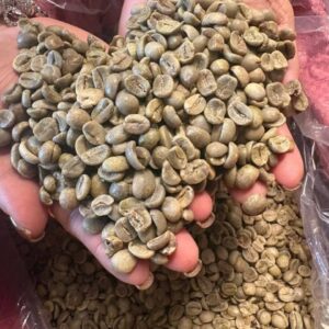 West African Coffee Export Via Nigeria (Cameroon Highland Arabica and Robusta — The Specialty Coffee Origin That Has Been Commercially Overshadowed By East African Giants For Decades Despite Producing Arabica At The Same Volcanic Highland Altitudes, The Same Complex Cup Profiles, And At Green Bean Prices That The Specialty Roaster Community Has Not Yet Fully Priced In) | Green Beans, Washed & Natural Process For Specialty Roasters, Coffee Importers & Global Wholesale Buyers