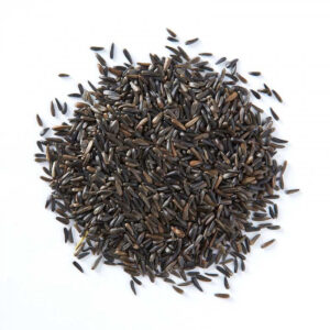 Nigerian Niger Seed Export (Guizotia Abyssinica — The Small Black Oilseed That The Global Wild Bird Food Industry Calls Nyjer And Sells As The Premium Finch Attractant That No Other Seed Replicates, That Indian And Ethiopian Smallholders Have Pressed Into Edible Oil For Centuries, And That Nigeria Grows Across Its Northern Highlands At The Same Altitudes That Produce The Highest Linoleic Acid Concentrations In Commercially Available Nyjer) | Whole Seed, Oil-Grade & Bird Food For Wild Bird Manufacturers, Edible Oil Refiners & Global Wholesale Buyers