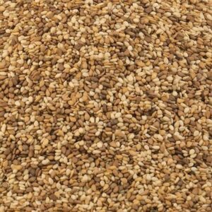 Nigerian Brown Sesame Seed Export (Sesamum Indicum — The Hull-On Sesame Whose Intact Outer Layer Concentrates The Sesamol, Sesamin, and Sesamolin Lignans That Make It Nutritionally Superior To The Hulled White Sesame That Dominates Commodity Trade, And That The Global Tahini, Natural Foods, And Functional Ingredient Industries Have Always Specifically Required Over Its Bleached Alternative) | Whole Natural, Toasted & Cold-Pressed Oil Grade For Tahini Manufacturers, Health Food Brands & Global Wholesale Buyers