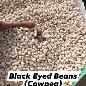 Nigerian Cowpea Export (Vigna Unguiculata — Nigeria Produces More Cowpeas Than The Next Four Largest Global Producers Combined, Yet This Most Important Food Legume In Sub-Saharan Africa Remains Among The Most Commercially Underexplored Grain Legumes In International Formal Trade) | Whole Grain, Flour, Canned & Protein Isolate For Food Manufacturers, Diaspora Importers & Global Wholesale Buyers