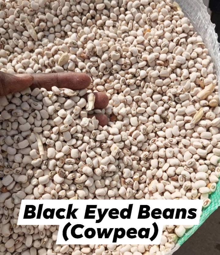 Nigerian Cowpea Export (Vigna Unguiculata — Nigeria Produces More Cowpeas Than The Next Four Largest Global Producers Combined, Yet This Most Important Food Legume In Sub-Saharan Africa Remains Among The Most Commercially Underexplored Grain Legumes In International Formal Trade) | Whole Grain, Flour, Canned & Protein Isolate For Food Manufacturers, Diaspora Importers & Global Wholesale Buyers