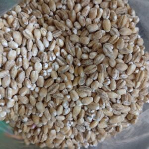 Nigerian Barley Export (Hordeum Vulgare — Barley Is The Only Cereal Grain Whose Beta-Glucan Soluble Fibre Has Received Not One But Two Separate European Food Safety Authority Authorised Health Claims — One For Cholesterol Reduction And One For Blood Glucose Management — Making Barley The Most Regulatory-Validated Functional Cereal In International Trade, Yet Whose Nigerian Production Serves A Brewing Industry Whose Annual Malting Barley Import Bill Exceeds USD 200 Million While Domestic Barley Cultivation Remains Commercially Underdeveloped) | Malting Barley, Feed Barley, Whole Barley & Beta-Glucan Grade For Breweries, Food Manufacturers, Animal Feed Producers & Global Buyers