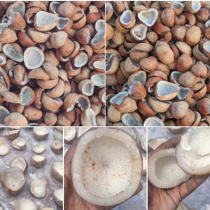 Nigerian Dried Copra Export (Cocos Nucifera — The Dried Coconut Meat That The Global Coconut Oil Industry Processes Into The World's Fastest-Growing Premium Food Oil, That The Organic And Virgin Coconut Oil Market Values At USD 30–60 Per Litre In Premium Retail, And That Nigeria's Coastal Belt Produces From Coconut Palms Whose West African Terroir Creates A Distinctly Different Fatty Acid Profile From Asian Plantation Origins) | Dried Copra, Desiccated Coconut & Oil-Grade For Coconut Oil Refineries, Food Manufacturers & Global Wholesale Buyers