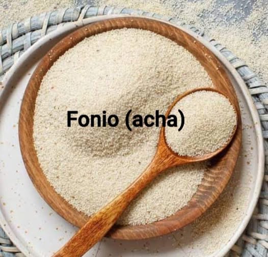 Nigerian Fonio Export (Digitaria Exilis — Fonio Is The World's Fastest-Growing Cereal Completing Its Entire Growing Cycle In 6–8 Weeks, The Only Major Cereal Grain With A Complete Essential Amino Acid Profile Including The Methionine And Cystine That Are Limiting Or Absent In Every Other Widely Cultivated Cereal, Gluten-Free By Nature, And The Ancient West African Grain That The Global Superfood Market Has Finally Discovered After 5,000 Years Of Sustained Cultivation By The Farming Communities That Have Always Known Its Nutritional Value) | Whole Fonio Grain, Fonio Flour & Processed Fonio For Health Food Manufacturers, Diaspora Retailers & Global Specialty Buyers