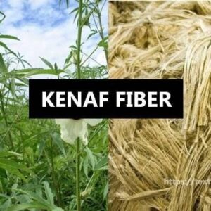Nigerian Kenaf Fibre Export (Hibiscus Cannabinus — Kenaf Is The World's Fastest-Growing Commercial Fibre Crop Reaching 4–6 Metres In 150 Days Whose Dual-Fibre Architecture — A Premium Bast Fibre Outer Layer Comparable To Jute For Sacking And Geotextile And A Woody Core Fibre Whose Absorbency And Lignocellulosic Structure Creates Particleboard, Animal Bedding, And Biocomposite Applications That No Other Natural Fibre Approaches — Creates The Most Commercially Versatile Single-Plant Industrial Fibre In The Nigerian Agricultural Portfolio And Whose Cultivation Across Nigeria's Sudan Savanna Belt Has Historical Precedent Whose Revival Creates West Africa's Most Immediately Exploitable Hard Fibre Export Programme) | Kenaf Bast Fibre, Kenaf Core Fibre & Kenaf Products For Paper Mills, Board Manufacturers & Global Buyers
