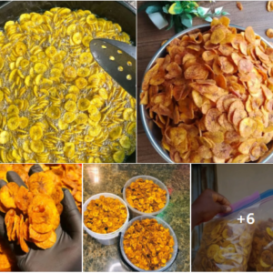 Nigerian Dried Banana Chips Export (Musa Acuminata — Banana Chips Are The World's Most Widely Consumed Dried Tropical Fruit Snack With A Global Market Exceeding USD 1.5 Billion Annually, Yet The Specific Natural Sweetness Profile, Finger Banana Miniature Format, And Traditional Honey-Coconut Oil Processing Variants Whose Production Is Concentrated In Nigeria's Forest Belt Communities Create A Dried Banana Chip Category Whose Premium Positioning Above Commodity Asian-Origin Equivalents Represents The Most Immediately Accessible International Snack Export Opportunity In The Nigerian Processed Food Portfolio) | Dried Banana Chips, Honey Banana Chips & Premium Banana Crisps For Snack Manufacturers, Retailers & Global Buyers