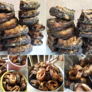 Nigerian Dried Catfish Export (Clarias Gariepinus — Nigeria Is Sub-Saharan Africa's Largest Catfish Aquaculture Producer With Over 200,000 Metric Tonnes Annually From The Most Technically Sophisticated Freshwater Fish Farming Industry In West Africa, Whose Premium Dried And Smoked Catfish — Called Point Fish In Nigerian Food Culture For Its Role As The Most Prestigious Non-Stockfish Protein In Any Nigerian Soup — Has Created A Diaspora Premium Market Whose Demand Is Documented, Intense, And Commercially Served By Almost No Formal Export Programme In Existence) | Dried Catfish, Smoked Catfish & Catfish Powder For Diaspora Retailers, Restaurants & Global Buyers