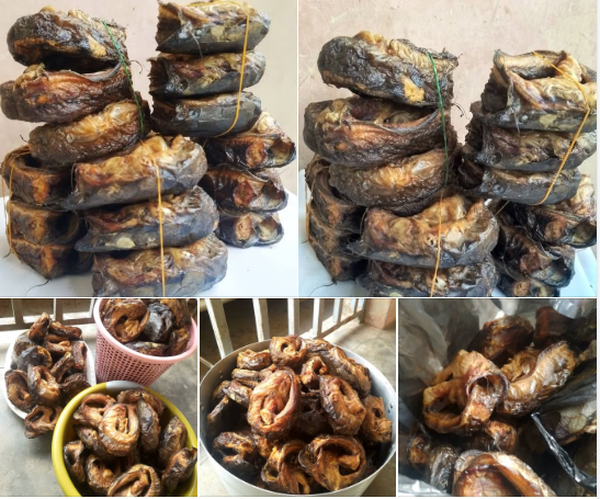 Nigerian Dried Catfish Export (Clarias Gariepinus — Nigeria Is Sub-Saharan Africa's Largest Catfish Aquaculture Producer With Over 200,000 Metric Tonnes Annually From The Most Technically Sophisticated Freshwater Fish Farming Industry In West Africa, Whose Premium Dried And Smoked Catfish — Called Point Fish In Nigerian Food Culture For Its Role As The Most Prestigious Non-Stockfish Protein In Any Nigerian Soup — Has Created A Diaspora Premium Market Whose Demand Is Documented, Intense, And Commercially Served By Almost No Formal Export Programme In Existence) | Dried Catfish, Smoked Catfish & Catfish Powder For Diaspora Retailers, Restaurants & Global Buyers