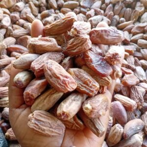 Nigerian Dried Dates Export (Phoenix Dactylifera — Dates Are The Only Whole Fruit In The World With A Recognised EU-Authorised Health Claim For Glycaemic Control Despite Their Intense Natural Sweetness, A Paradox Explained By Their Extraordinary Dietary Fibre Content Whose Viscosity Slows Glucose Absorption So Effectively That Multiple Controlled Clinical Trials Document Lower Post-Meal Blood Glucose Peaks From Dates Than From Equivalent Portions Of Most Common Grains, And Whose Nigerian Northern State Production From Traditional Sahel Date Palm Cultivation Creates Premium Sun-Dried Quality Whose Mineral Complexity And Natural Character Position It Above Industrial-Grade Imported Equivalents) | Dried Dates, Pitted Dates & Date Paste For Food Manufacturers, Health Food Retailers & Global Buyers