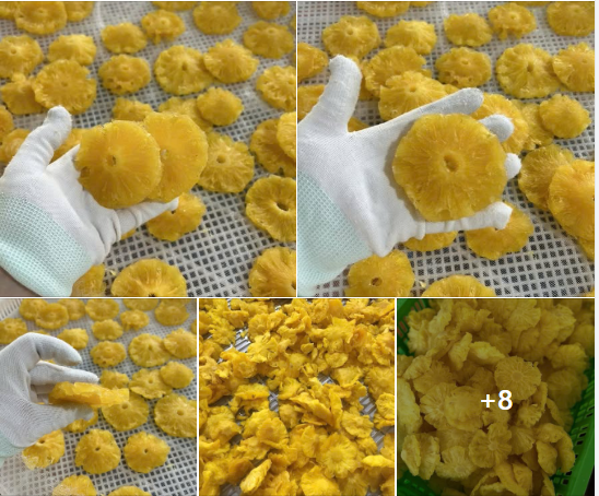 Nigerian Dried Pineapple Export (Ananas Comosus — Nigeria Is Sub-Saharan Africa's Third Largest Pineapple Producer With Year-Round Harvest From Cultivars Adapted To The Nigerian Rainforest Belt Whose Brix Sugar Concentration And Bromelain Enzyme Content Create A Dried Pineapple Whose Tropical Sweetness, Functional Enzyme Activity, And Clean-Label Natural Fruit Character Position It At The Premium End Of The Global Dried Tropical Fruit Market, Whose 7 Percent Annual Growth Makes It One Of The Fastest-Growing Snack Ingredients In International Specialty Food Trade) | Dried Pineapple Rings, Pineapple Powder & Dehydrated Pineapple For Snack Manufacturers, Food Companies & Global Buyers