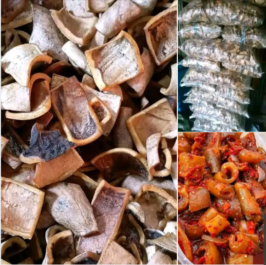 Nigerian Ponmo Export (Bos Taurus — Ponmo Is The Most Widely Consumed Non-Muscle Animal Protein In Nigerian Food Culture Whose Extraordinary Collagen Density — Providing Up To 35 Percent Hydroxyproline-Rich Type I Collagen On Dry Weight Whose Commercial Value In The Global Collagen Ingredient Market Exceeds USD 3 Billion Annually — Creates Simultaneous Positioning As A Traditional Diaspora Delicacy, A Food Manufacturing Gelatine Source, And A Premium Cosmetics-Grade Collagen Hydrolysate Raw Material That No Synthetic Alternative Replicates With The Same Natural Matrix Complexity) | Dried Cow Skin, White Ponmo & Smoked Ponmo For Diaspora Retailers, Restaurants & Global Buyers