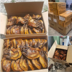 Nigerian Smoked Fish Export (Multiple Species — Smoked Fish Is The Most Widely Distributed Traditional Protein Preservation Technology In Sub-Saharan Africa Whose Specific Combination Of Smoke-Derived Phenolic Antimicrobials, Thermal Dehydration, And Maillard Reaction Flavour Complexity Creates A Product Category Whose Cultural Embeddedness Across All Nigerian Ethnic Groups And Ecological Zones Makes It The Single Most Universally Consumed Traditional Protein Ingredient In The Nigerian Dietary Portfolio — Yet Whose Formal Export To The 20 Million Nigerian Diaspora Remains Almost Entirely Undeveloped) | Smoked Bonga, Smoked Herrings, Smoked Mackerel & Mixed Smoked Fish For Diaspora Retailers, Restaurants & Global Buyers