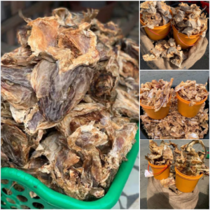 Nigerian Stockfish Export (Gadus Morhua — Nigeria Is The World's Second Largest Consumer Of Norwegian Stockfish After Norway Itself, Importing Over 50,000 Metric Tonnes Annually Through The Most Sophisticated Dried Cod Grading And Rehydration Knowledge Base Outside Scandinavia — Creating A Unique Dual Commercial Opportunity: Nigeria As A Premium Stockfish Distribution Hub For West African Diaspora Markets And As The Birthplace Of The Traditional Stockfish Preparation Knowledge Whose Cultural Depth Is Irreplaceable For The Igbo, Efik, And Ibibio Communities Who Have Elevated Stockfish Into One Of The Most Culturally Prestigious Foods In All Of West Africa) | Norwegian Stockfish, Stockfish Heads & Stockfish Cuts For Diaspora Retailers, Restaurants & Global Buyers
