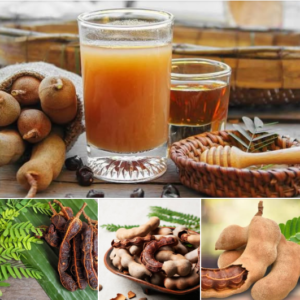 Nigerian Tamarind Export (Tamarindus Indica — Tamarind Is The Single Most Important Souring Agent In The Global Food Industry Whose Unique Combination Of Tartaric Acid, Natural Sugars, Pectin, And Mineral Richness Creates A Flavour Complexity That No Synthetic Citric Acid, Lemon Juice, Or Vinegar Alternative Can Replicate — Whose Culinary Indispensability Across Indian, Southeast Asian, Mexican, Middle Eastern, And West African Food Cultures Creates A USD 2 Billion Global Market Whose Nigerian Production From Indigenous Sahel And Forest Zone Populations Represents A Commercially Underdeveloped Export Opportunity Of Extraordinary Potential) | Raw Tamarind Pods, Tamarind Paste, Tamarind Powder & Tamarind Extract For Food Manufacturers, Beverage Companies & Global Buyers