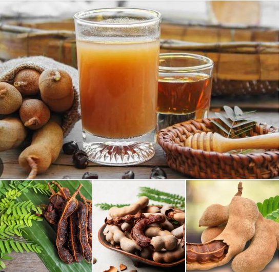 Nigerian Tamarind Export (Tamarindus Indica — Tamarind Is The Single Most Important Souring Agent In The Global Food Industry Whose Unique Combination Of Tartaric Acid, Natural Sugars, Pectin, And Mineral Richness Creates A Flavour Complexity That No Synthetic Citric Acid, Lemon Juice, Or Vinegar Alternative Can Replicate — Whose Culinary Indispensability Across Indian, Southeast Asian, Mexican, Middle Eastern, And West African Food Cultures Creates A USD 2 Billion Global Market Whose Nigerian Production From Indigenous Sahel And Forest Zone Populations Represents A Commercially Underdeveloped Export Opportunity Of Extraordinary Potential) | Raw Tamarind Pods, Tamarind Paste, Tamarind Powder & Tamarind Extract For Food Manufacturers, Beverage Companies & Global Buyers