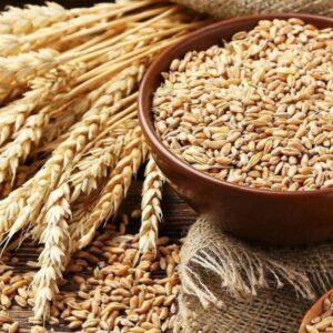 Nigerian Wheat Export (Triticum Aestivum — Nigeria Operates The Largest Wheat Flour Milling Industry In Sub-Saharan Africa With Over 10 Million Metric Tonnes Of Annual Installed Milling Capacity Yet Imports More Than 90 Percent Of Its Wheat From Ukraine, Russia, And The United States — A Structural Supply Gap Whose Commercial Resolution Through Domestic Production Development Represents The Most Strategically Important Agricultural Import Substitution Opportunity In The Entire Nigerian Economy) | Hard Wheat, Soft Wheat & Durum Grade For Flour Millers, Food Manufacturers & Global Wholesale Buyers