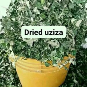 Nigerian Uziza Leaves Export (Piper Guineense — The Same Plant That Produces West Africa's Most Pungent Indigenous Pepper Seed Also Produces A Leaf Whose Culinary Importance In Nigerian Cuisine Is Entirely Distinct From The Seed's Commercial Identity — And Whose International Export Infrastructure Is So Completely Absent That The Most Common West African Leaf Vegetable After Ugu Is Essentially Invisible In Every Formal International Agricultural Trade Database) | Dried Uziza Leaves, Cut Grade & Powder For Diaspora Food Retailers, West African Restaurants & Global Specialty Buyers