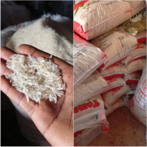 Nigerian Local Rice Export (Oryza Sativa — Nigeria Spent Over USD 2 Billion On Rice Imports Annually Before Its Landmark 2015 Import Restriction Policy Triggered The Most Dramatic Agricultural Transformation In The Country's Modern History, Multiplying Domestic Rice Production By Over 50 Percent In Under A Decade And Creating A New Surplus Export Capacity Whose Commercial Development Represents The Most Significant Emerging Agricultural Export Opportunity In Sub-Saharan Africa) | Parboiled Rice, Long Grain Rice & Local Varieties For Food Manufacturers, Diaspora Retailers & Global Wholesale Buyers